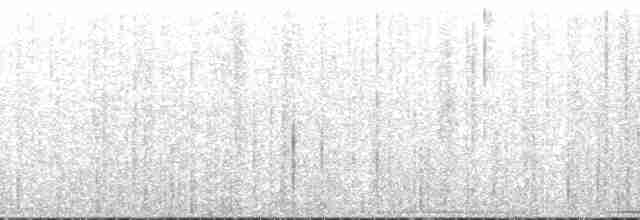 bergkasik (chrysonotus) - ML197222