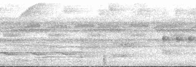 Graubrust-Ameisendrossel - ML197234