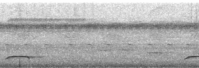 Тиран-плоскодзьоб малий - ML197239
