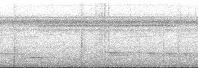Braunscheitel-Ameisenvogel - ML197240