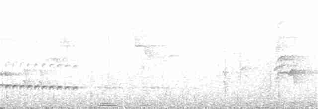 Tüpfelkronen-Ameisenvogel - ML197315561