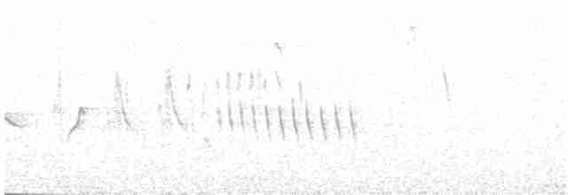 Dromoïque vif-argent - ML197363981