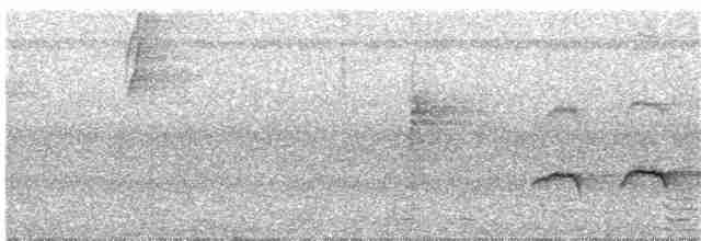 Band-tailed Antbird - ML197389731