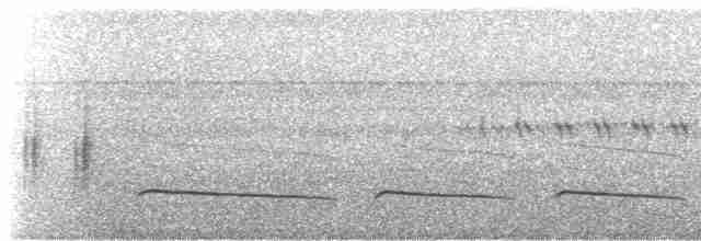 Short-tailed Babbler - ML197484641