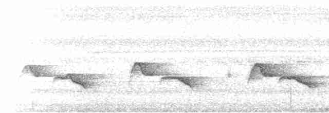 Sumatran Babbler - ML197491801