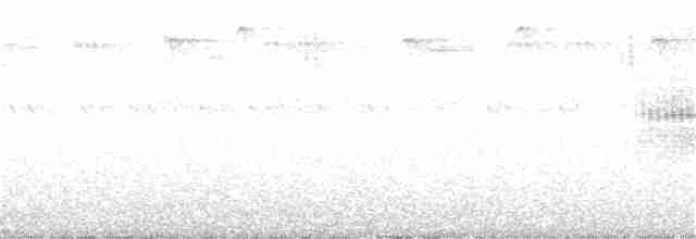 Сова-голконіг австралійська - ML197506881
