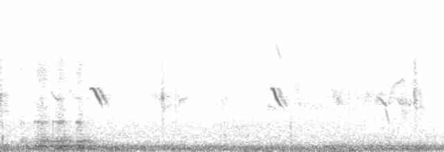 Alpenkrähe [pyrrhocorax-Gruppe] - ML197548