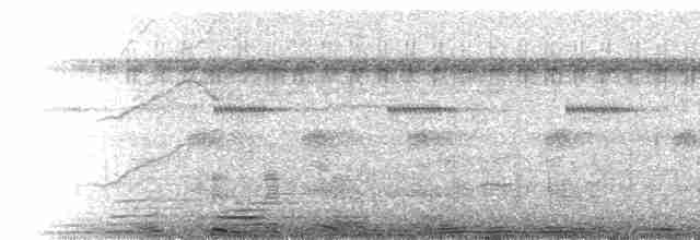 Epaulet Oriole (Moriche) - ML197690261