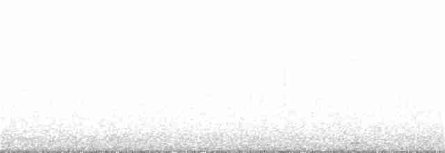 Cigogne blanche - ML197739741