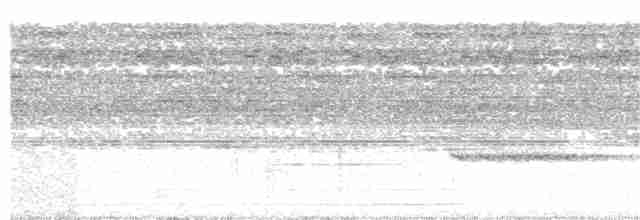 Augennachtschwalbe - ML197885321