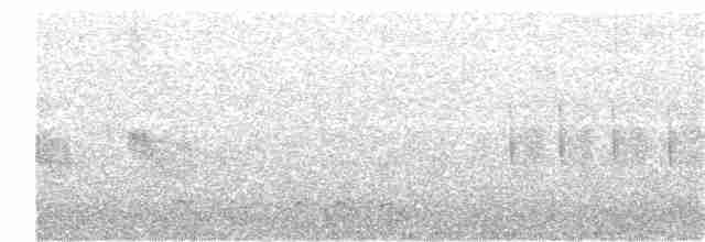 Пронурок сірий - ML197919101