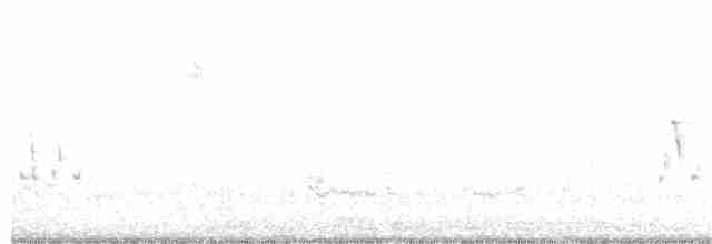 Loggerhead Shrike - ML198004111
