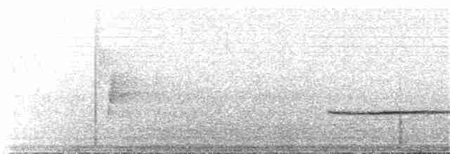 Белогорлая зонотрихия - ML198038051