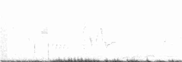 Dwarf Vireo - ML198102501
