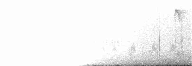 Квіткоїд-крихітка - ML198131461