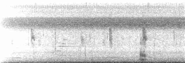 tykknebbrørdrum - ML198206711