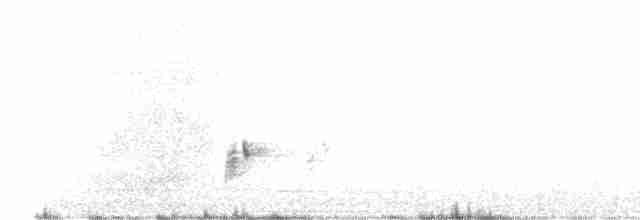 Light-vented Bulbul (formosae/orii) - ML198248871