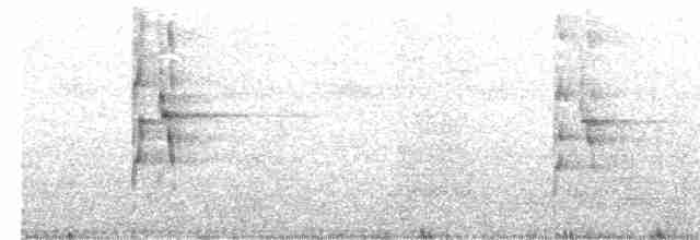 Аракарі плямистоволий - ML198413991