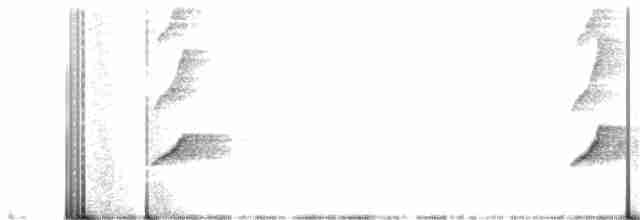 Пепельный дронго (innexus/leucogenis/salangensis) - ML198453671