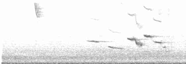 Eastern Meadowlark - ML198494201