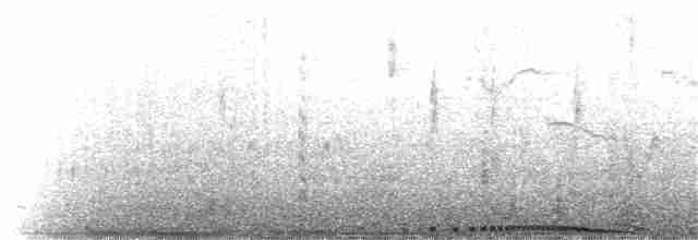 holub skalní (domácí) - ML198563161