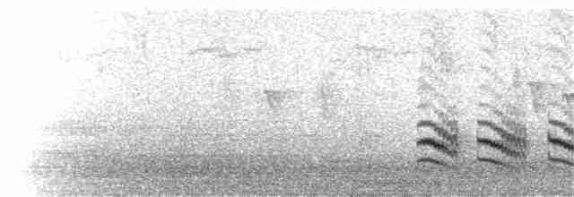 Weißbrustkleiber - ML198563211