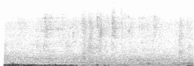 holub skalní (domácí) - ML198594331