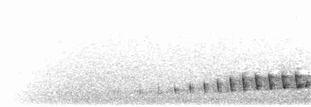 Buff-collared Nightjar - ML198640491