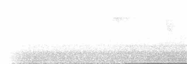 Grauband-Ameisenvogel - ML198737311