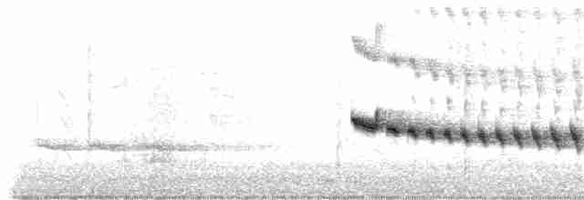 Grauband-Ameisenvogel - ML198744361