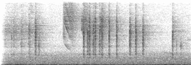 Troglodyte des halliers - ML198746181