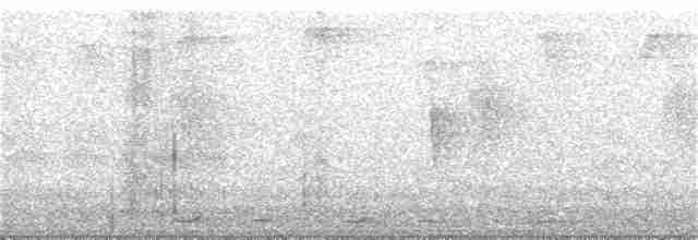 Kısa Gagalı Kızılca Güvercin - ML198813691