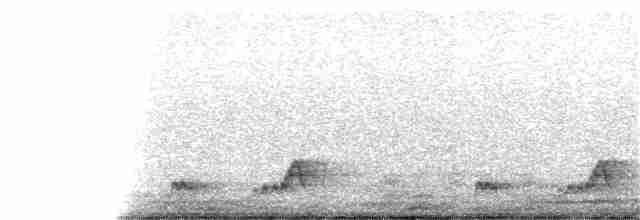 Mexikonachtschwalbe - ML198816251