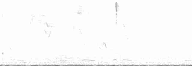 Flankenfleckenspelzer - ML198896381