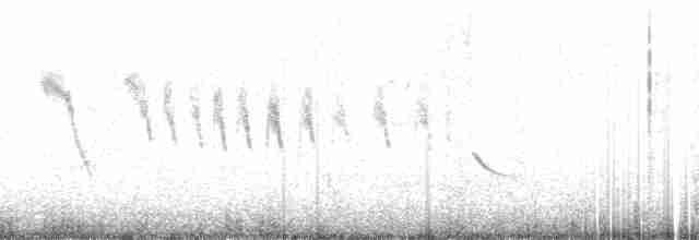 Singing Bushlark (Singing) - ML198996