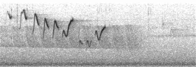 Vireo del Chocó - ML199161811