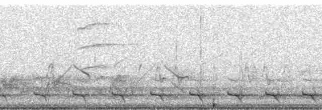 Surukua Trogonu (surrucura) - ML199192