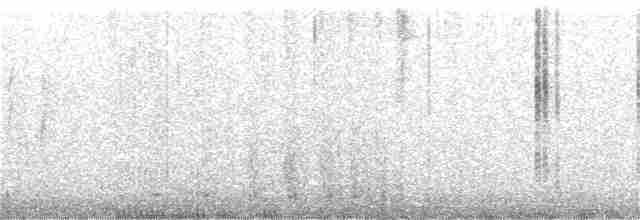 Цинантус синьогорлий - ML199292001