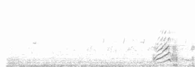 疣鼻天鵝 - ML199344001
