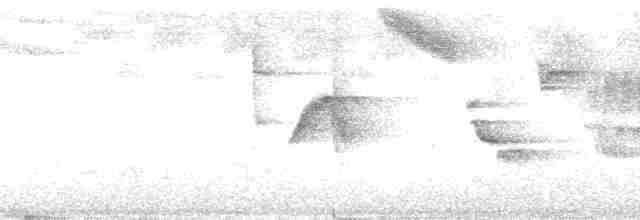 oransjenebbskogtrost (melpomene gr.) - ML199512