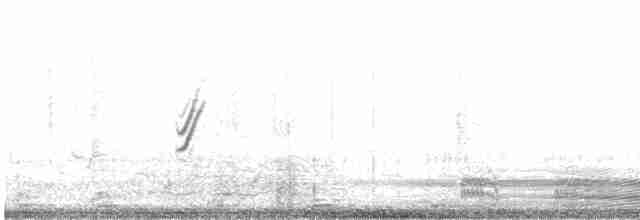 Loggerhead Shrike - ML199536381