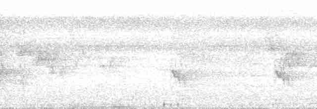 Pabuç Gagalı Tiran [mexicanus grubu] - ML199541