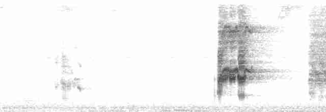 Белоголовый амазонет - ML199562
