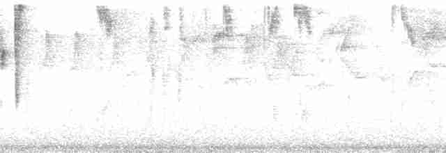 Black-cheeked Warbler - ML199568