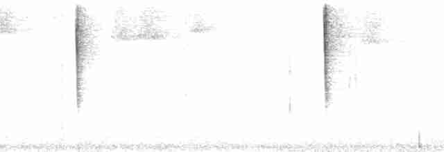Ошейниковая канделита - ML199572