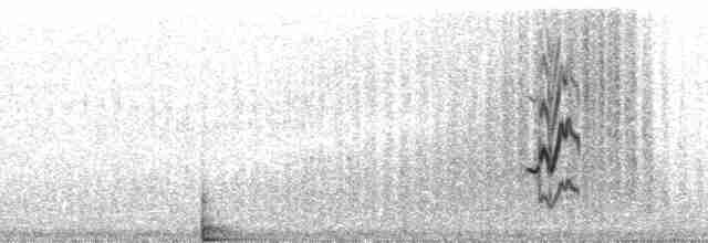 Полосатый калита - ML199578