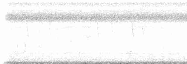 White-throated Crake (Rufous-faced) - ML199611981