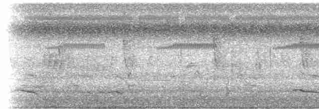 White-throated Crake (Rufous-faced) - ML199612111
