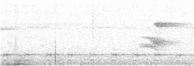 White-collared Kite - ML199706001