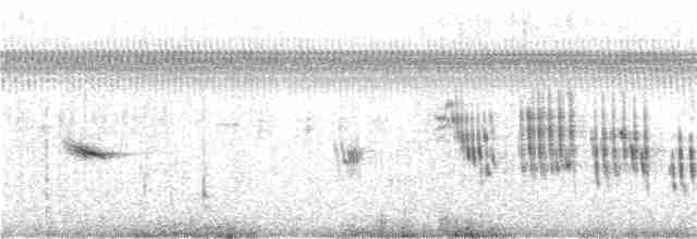White-rumped Swallow - ML199713361
